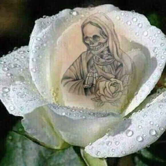 Meet your Posher, Ladii - Picture 1 of 1